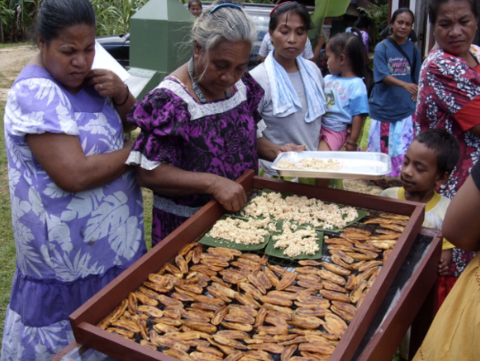 Women in Chuuk, in the Federated States of Micronesia, dry and mill traditional indigenous crops into nutritious flours (Courtesy of IFCP)