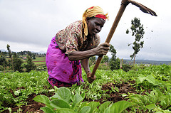 kenya farmer_copyright CIAT