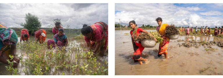 Photo by Sudip Maiti via GRP