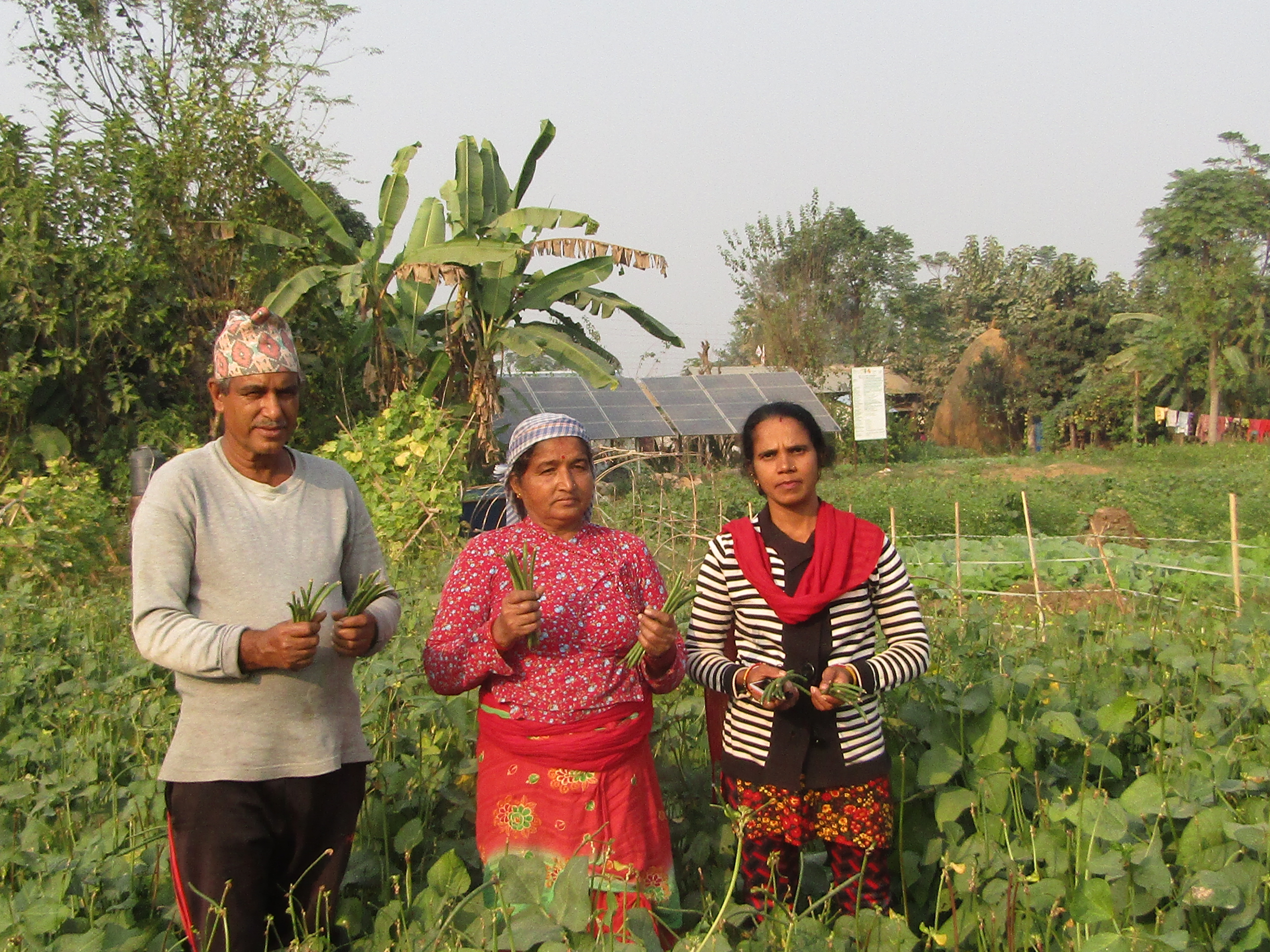 Farmers harvested crops after solar irrigation, Nepal. Credit: Matthew Erdman, USAID.