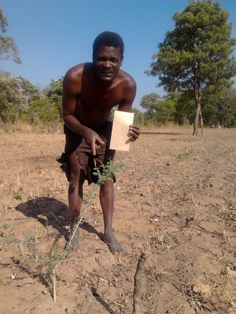 AAGL-0009k_Zambia offset project_farmer with tree02