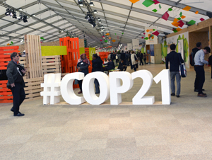 COP21 Paris - Now What? | Climate & Development Knowledge Network