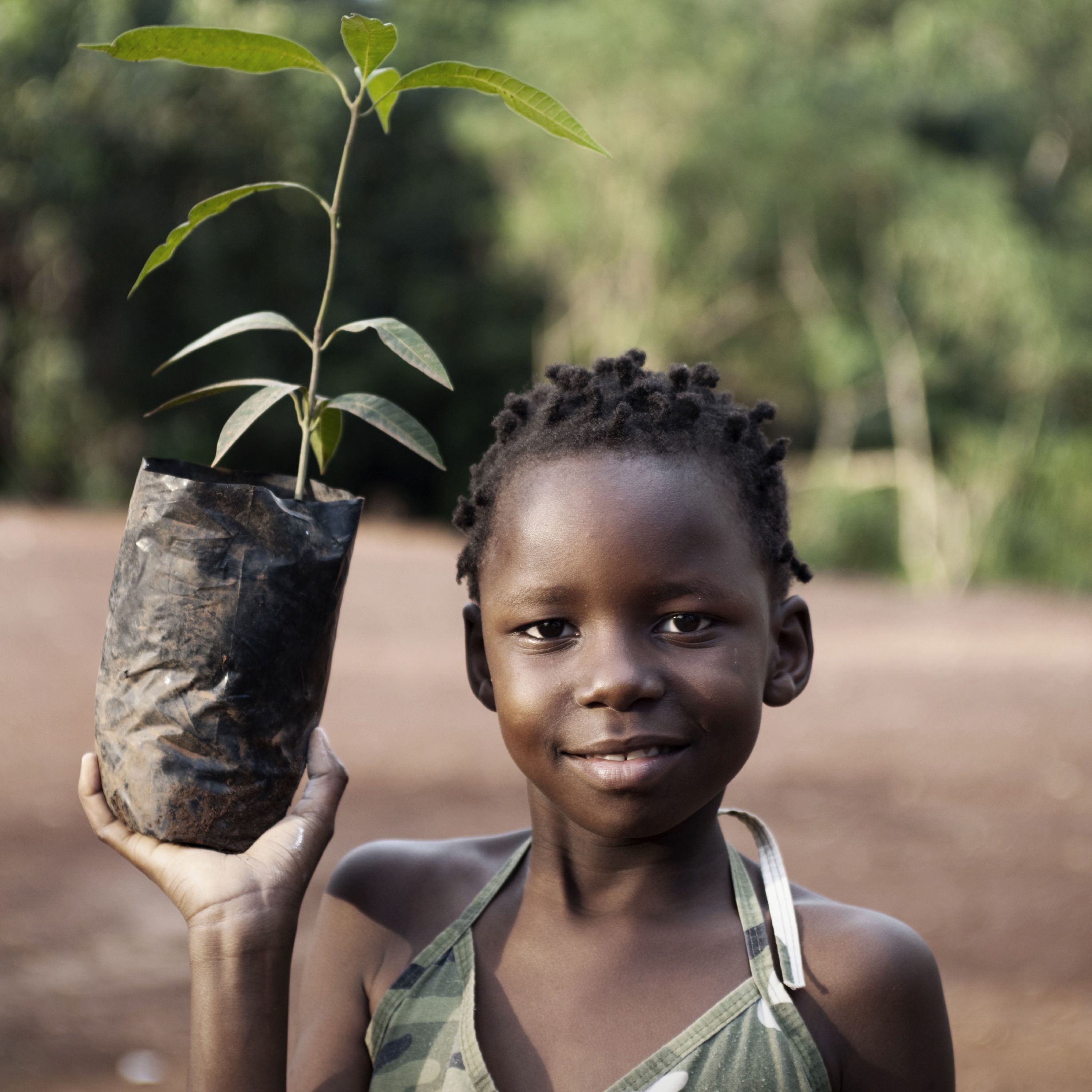 They lives in africa. Экологические проблемы Африки. Посадка деревьев в Южной Африке.