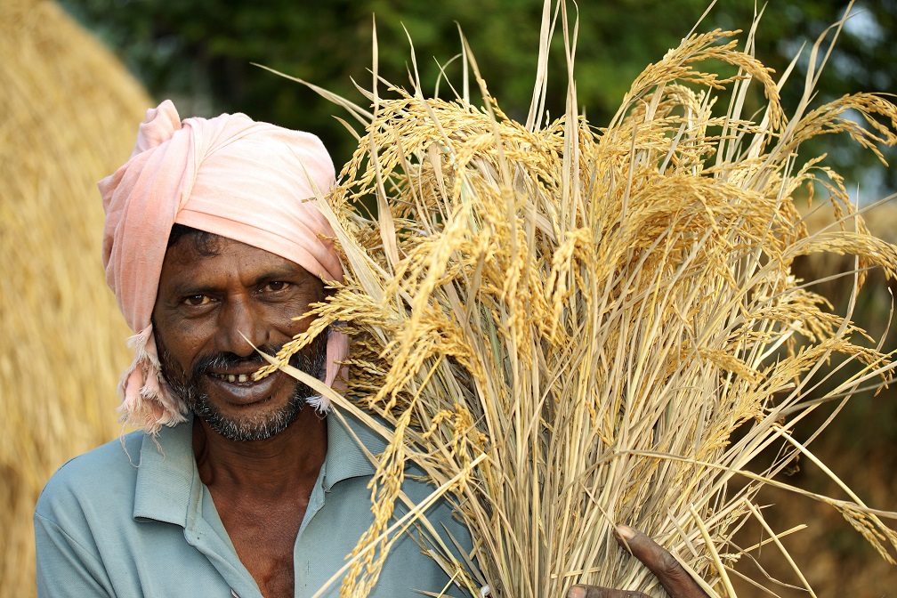 Woman in fields, Nepal