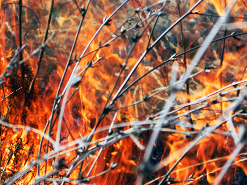 grass-fires-follow-floods-here-s-what-you-need-to-know-climate-council