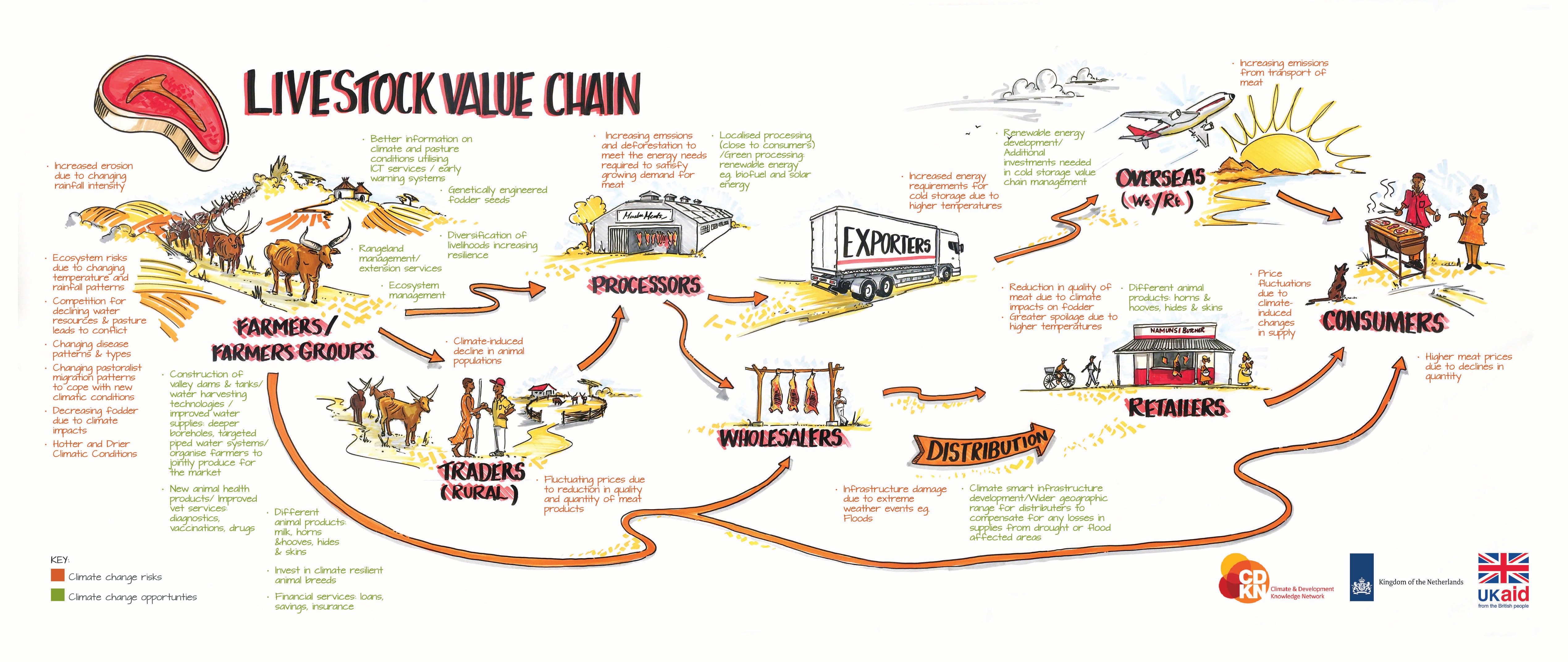Meat Value Chain(A3)