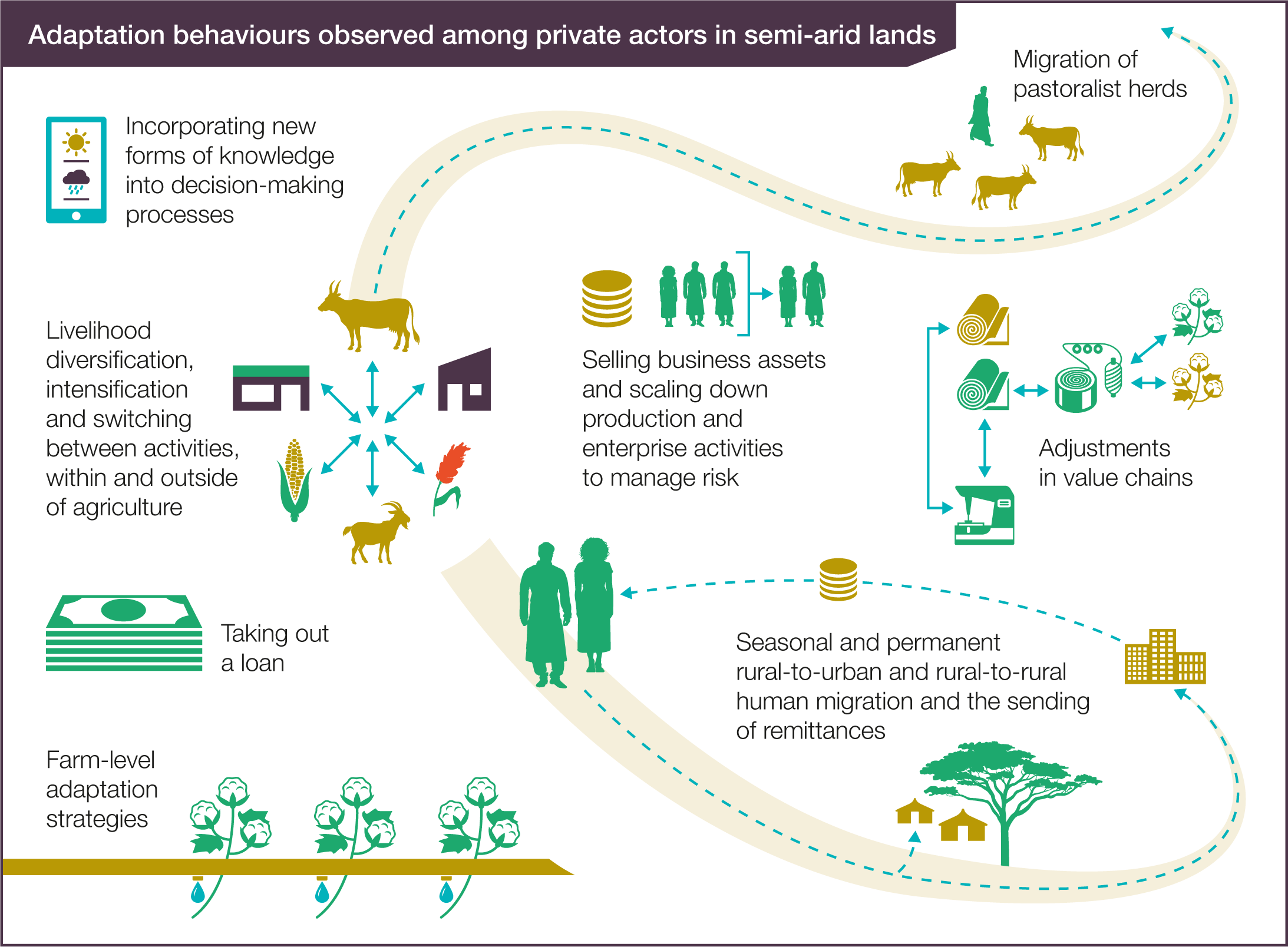 communities-in-semi-arid-lands-need-adaptation-support-to-unlock