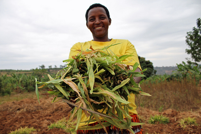 Reflecting on Our Common Future Under Climate Change | Climate ...