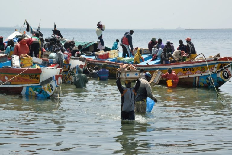 Ocean temperature increase along Senegalese coast could reduce sardine ...