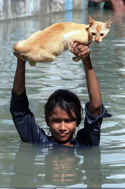 A girl carries her pet cat across a flooded road in the Dhaka suburd of Keraniganj, Sept 12, 2004. The century's worst floods in Bangladesh left at least 800 people dead and 300 million homeless.