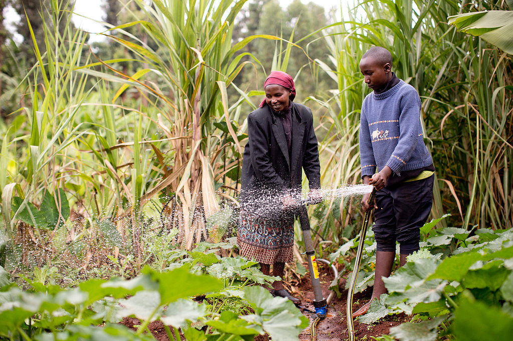 kenya small-scale farm irrigation