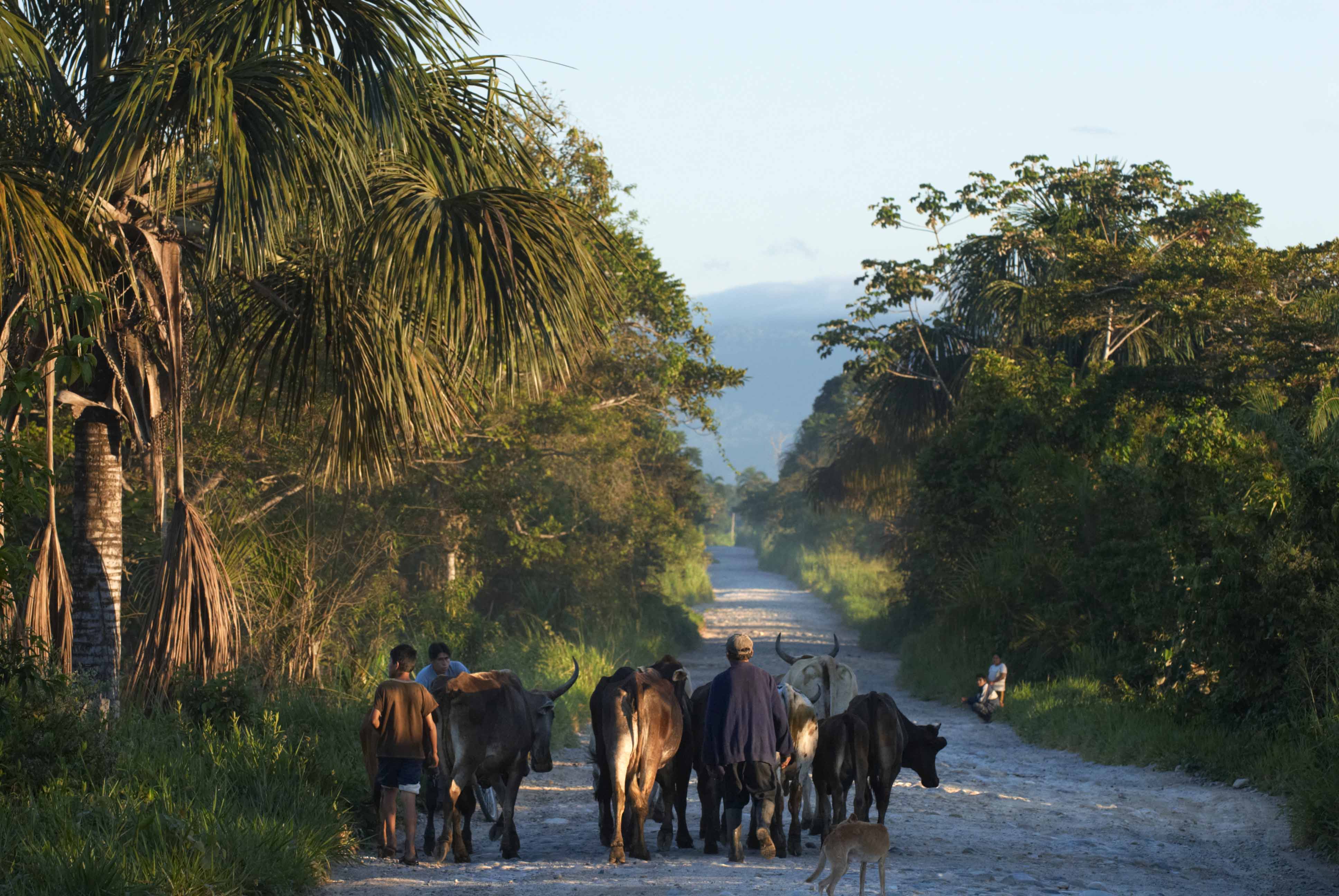 Peru will look for global progress on climate change in 2014 | Climate ...