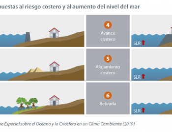 09 Different types of responses to coastal risk and sea level rise SPANISH.png 