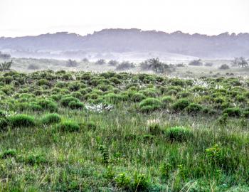 iSimangaliso Wetland Park, KwaZulu-Natal, South Africa (2) (cred. Fyre Mael) via Flickr