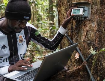 Forest monitoring in Yangambi, Democratic Republic of Congo