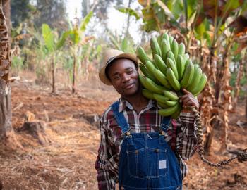 Plantain farmer, Cameroon 