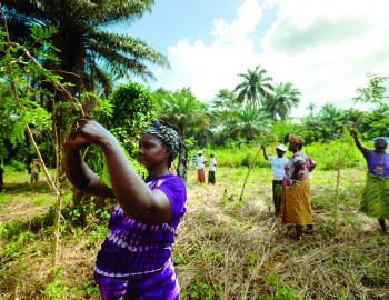 A rural women’s cooperative in Guinea