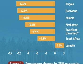 Percentage change in GDP per capita for contries in southern Africa due to observed climate change (1991-2010)