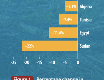 Percentage change in GDP per capita in North African countries due to observed climate change (1991-2010)