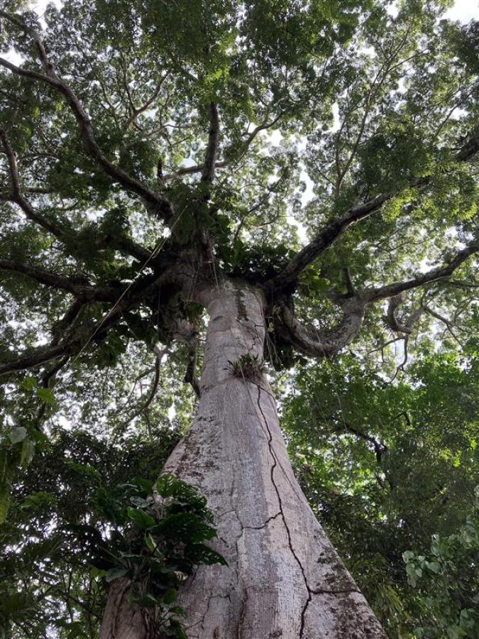 Courtesy of Mairi Dupar, ODI Global 