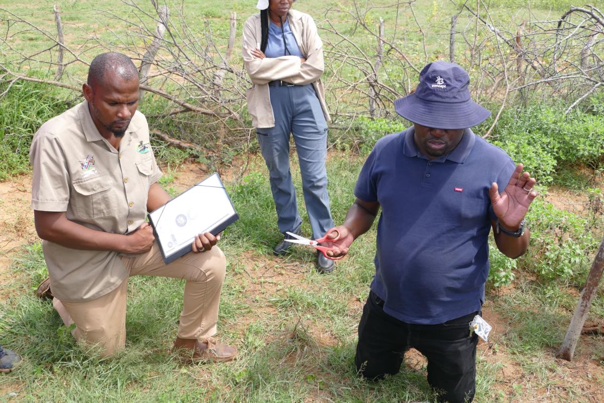 Field demonstrations on determining grazing capacity (Credit: CDKN Namibia)