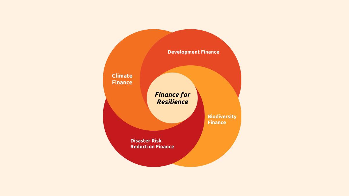 Finance for resilience infographic showing the different forms of finance that are incoporated