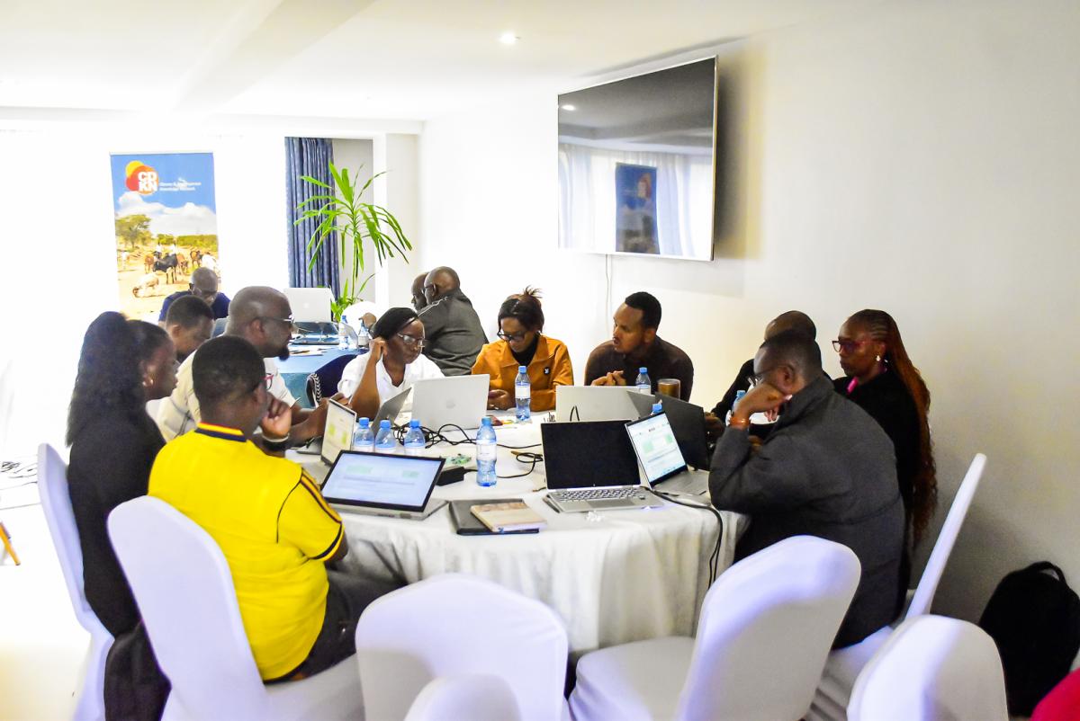 MERL tool workshop. Credit: CDKN Kenya.