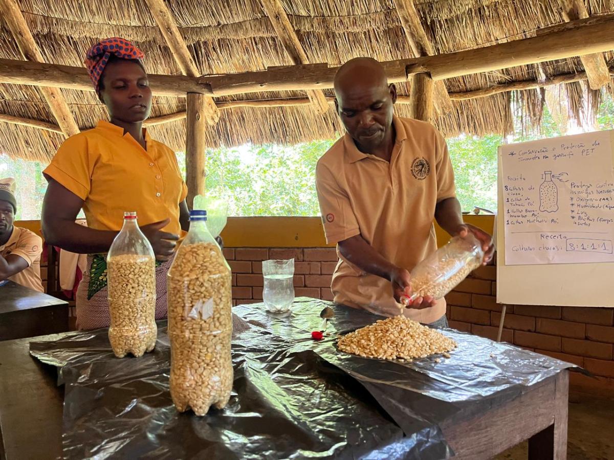 Storing Seeds in PET Bottles. Photo credit: Micaia Foundation 