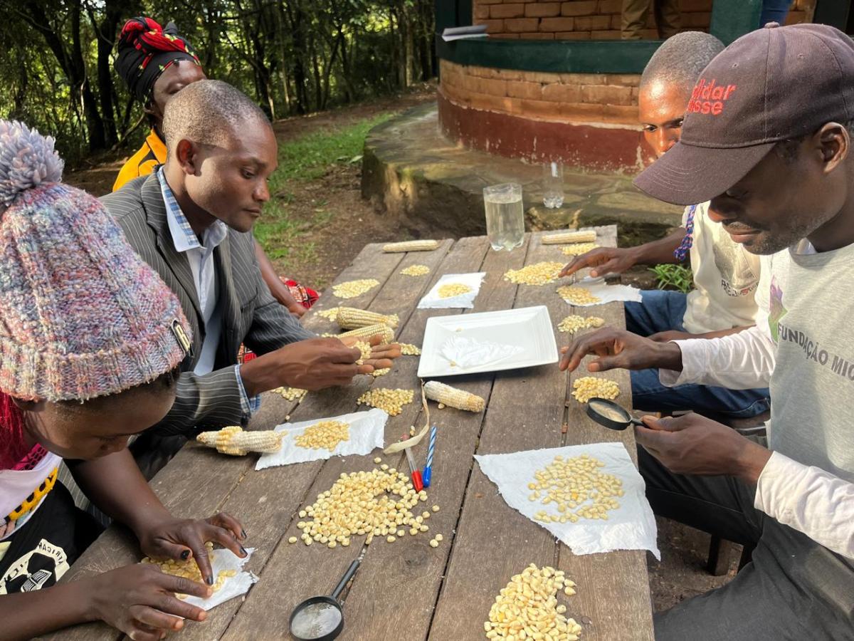 Floating Test for Local Seeds. Photo credit: Micaia Foundation