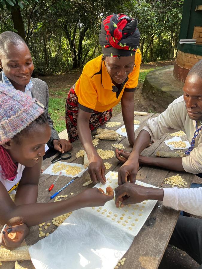 Training on local seed germination testing. Photo credit: Micaia Foundation