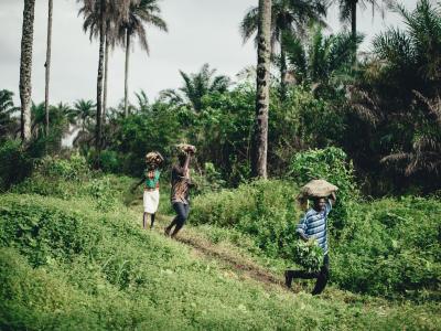 People carrying baskets, walking through a grass field in Sierra leone 