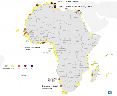 African heritage sites at risk from climate change_medium emissions scenario 2050