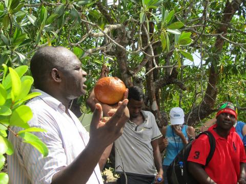 Mangrove restoration at Gazi Bay Kenya