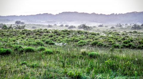 Simangaliso Wetland Park, KwaZulu-Natal, South Africa (2) (cred. Fyre Mael) via Flickr CC-BY