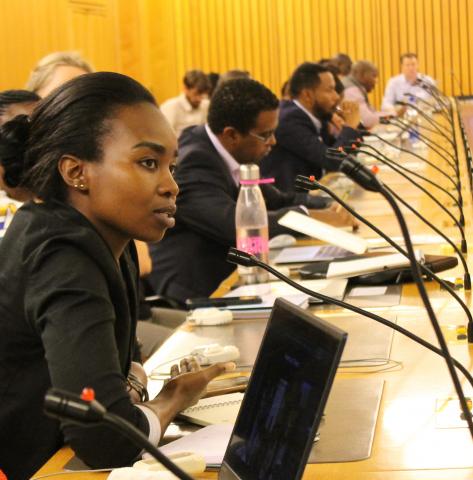 IPCC project - Ann Wanjiru shares work at Africa Climate Risks Conference in Addis Ababa in 2019. ©IISD_ENB