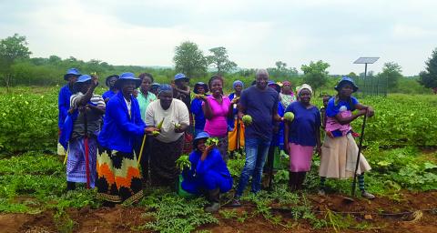 Modjadji Women Climate Smart Agricultural Project