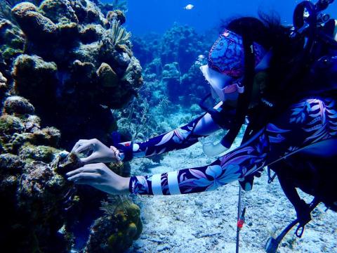 A local diver receives training to reattach damaged coral. Courtesy of MAR Fund