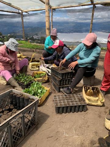 Women from the community Cruz Loma, Ecuador working with seedlings to support restoration activities with Quito’s Water Fund, FONAG. Courtesy of FONAG