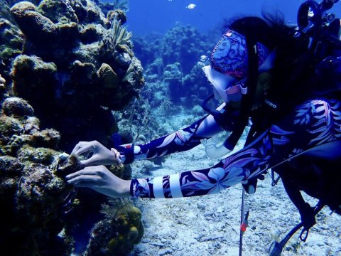 A local diver receives training to reattach damaged coral (Courtesy of MAR Fund)