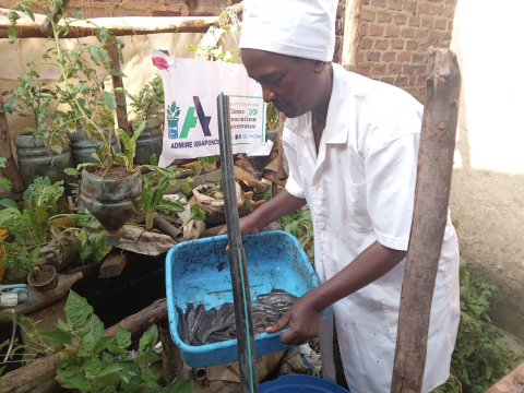 A woman harvests fish from her ADMIRE aquaponics system in Uganda (Cred. Sample Uganda)