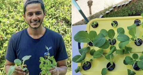 Rinesh Sharma demonstrates his home hydroponic farming kit called Smart Gro Box, which he hopes will boost food security and climate resilience in FIji’s informal settlements (Photo. supplied)