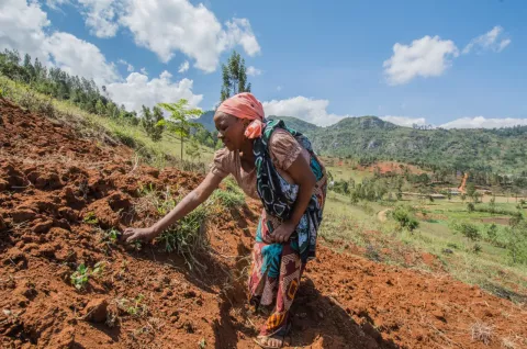 SSN is present in Tanzania, where farmers help each other to terrace the land. Photo by CIAT / Georgina Smith