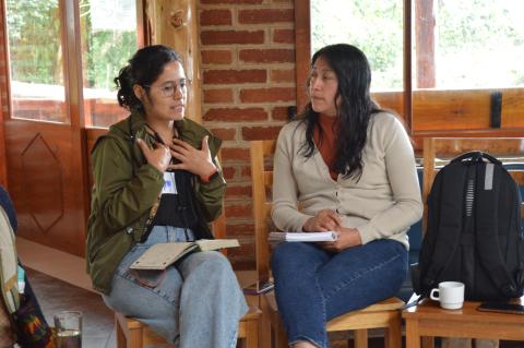 Ejercicio en parejas para explorar cómo influir en la acción subnacional, durante el taller de América Latina (cortesía de FFLA)