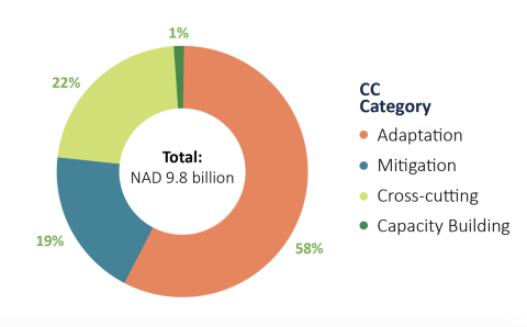 Figure 2. Categorisation of climate finance flows in Namibia (2015 – 2020), Triple Capital