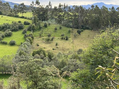 © Dayana Lema, FFLA / Visita de campo en la Hacienda San Juan, en el marco del intercambio de experiencias entre los Fondos de Agua FONAG y FORASAN / Pintag, Ecuador.