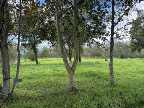 © Dayana Lema, FFLA / Visita de campo en la Hacienda San Juan, en el marco del intercambio de experiencias entre los Fondos de Agua FONAG y FORASAN / Pintag, Ecuador.