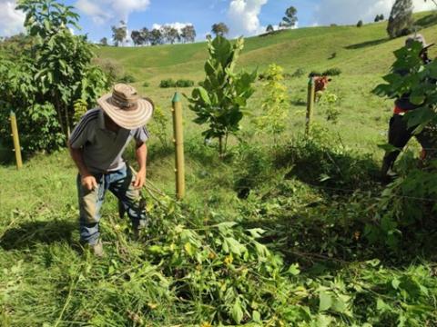 La Correa, Medellín, Colombia ©Cuenca Verde