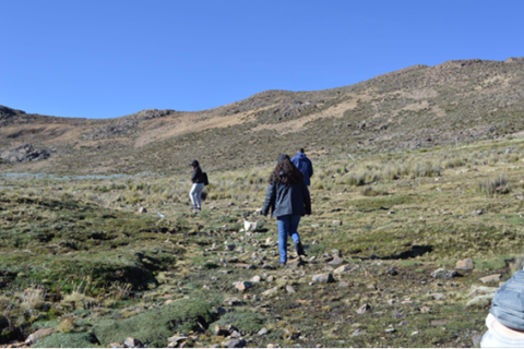 Visita al bofedal Yanasenega en San Pedro de Casta, Perú, como parte de un intercambio de campo entre dos Fondos de Agua, abril de 2025 ©FFLA